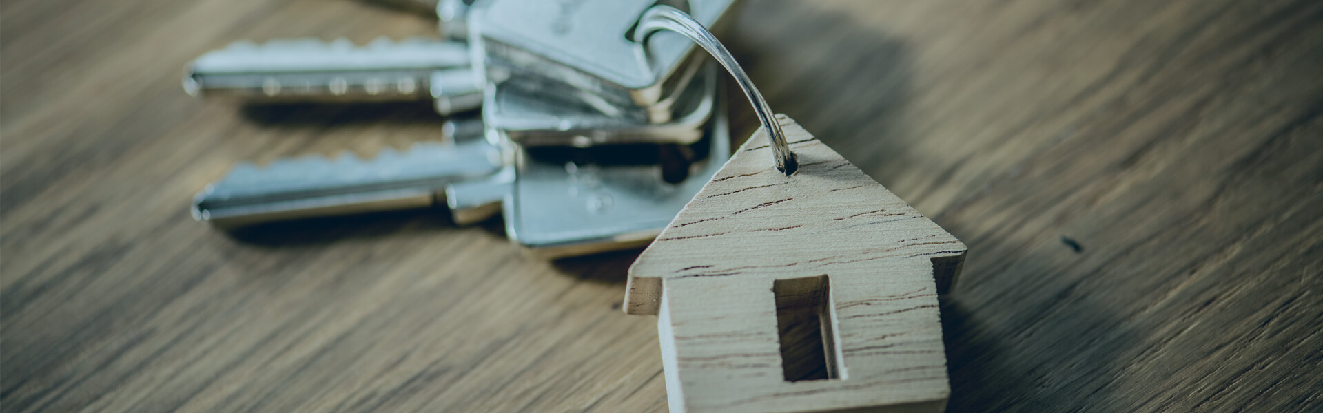 shri-swami-land-developers-pachora